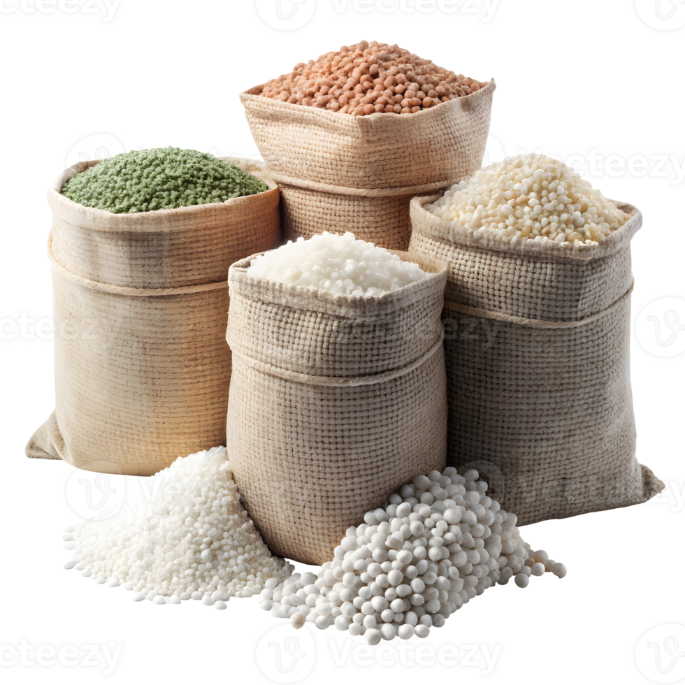Rice & Grains